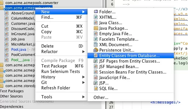 Figure 1: New Entity Class from Database