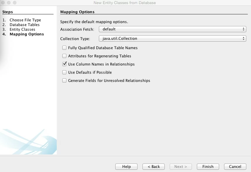 Figure 4: Entity Class Mapping Options