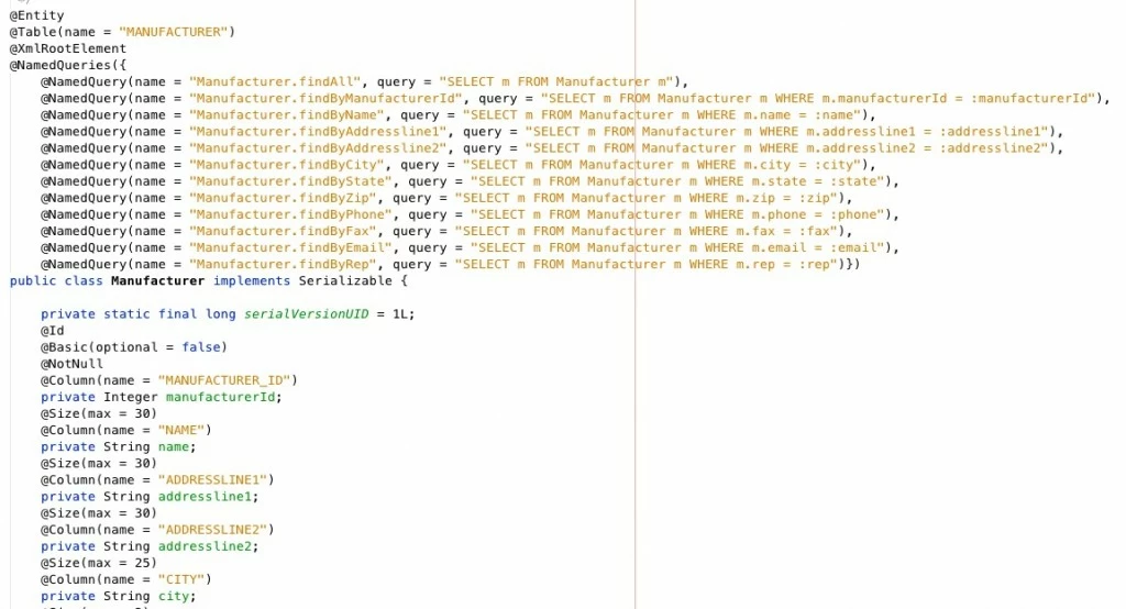 Figure 5: Completed Entity Class