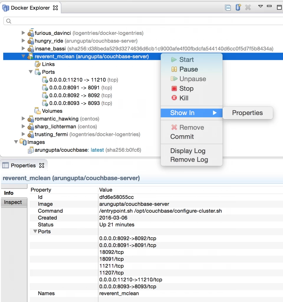docker-eclipse-mars-container-properties