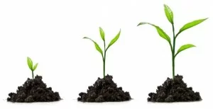 growth-300x154