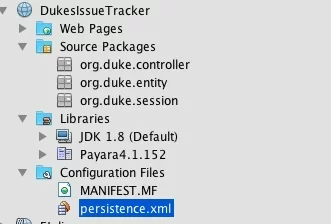 netbeans-ee-8c