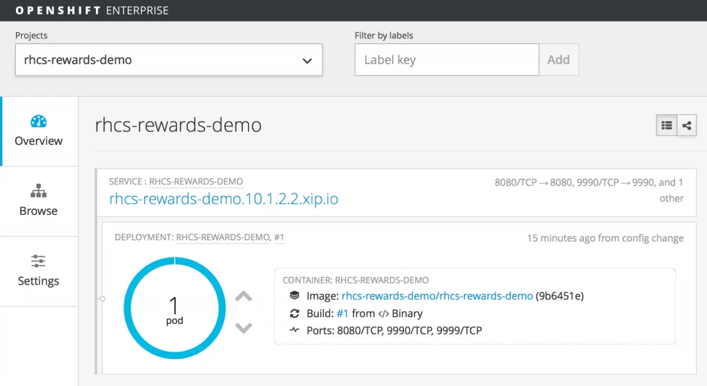 The JBoss BPM Rewards process project containerized on OpenShift Enterprise.