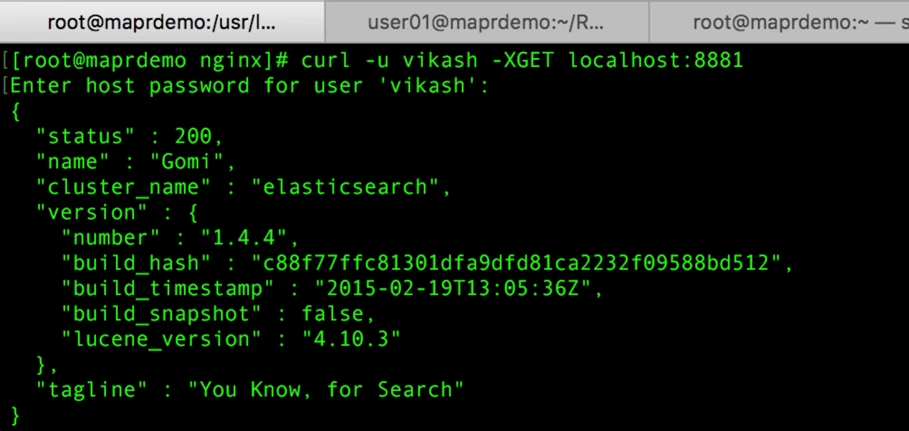 securing-elastic-search-and-kibana-10