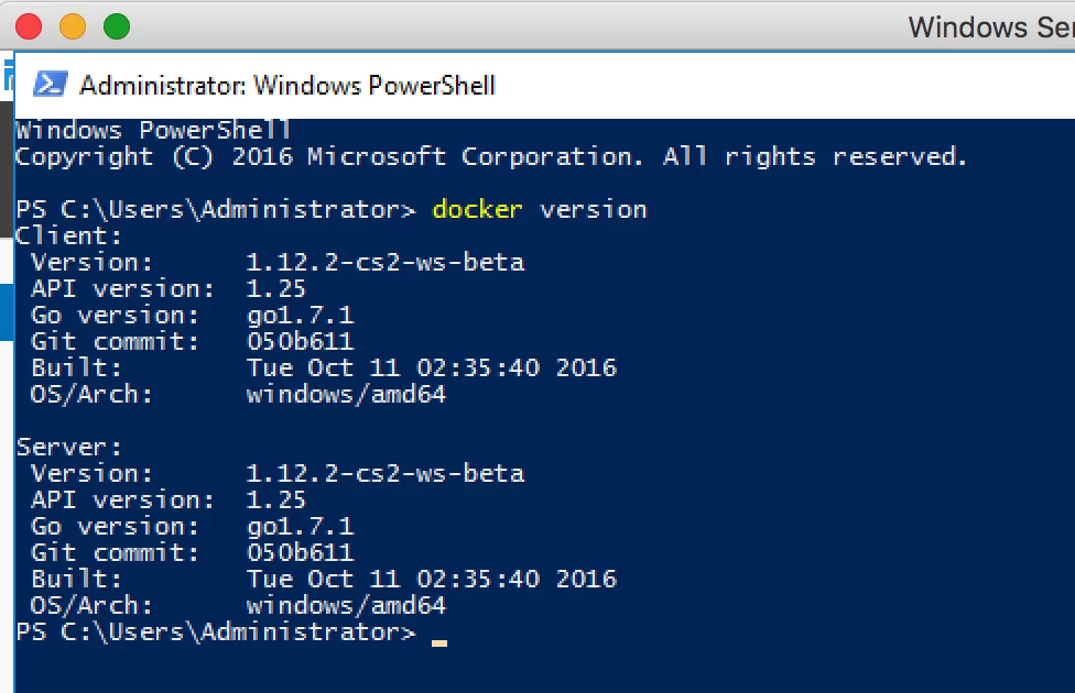 docker-windows-2016-24