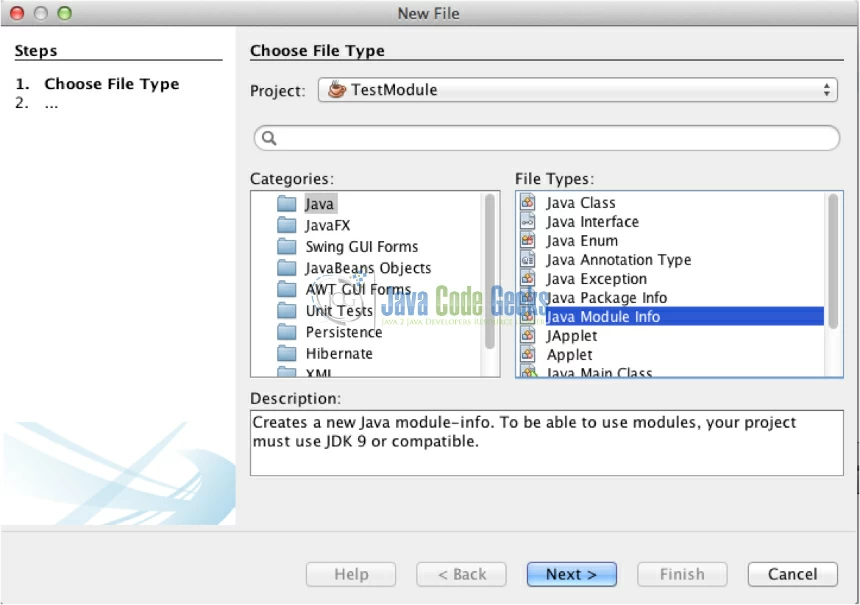 Fig. 5 - Add a Java Module Info