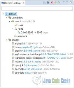 Docker Explorer View
