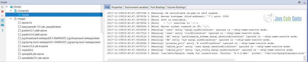 Docker in IntelliJ Idea