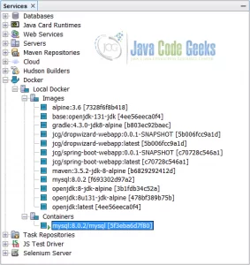 Docker in Netbeans