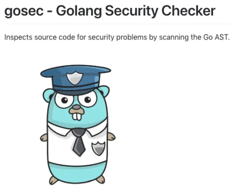 Source Code Security Problems