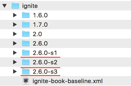 Ignite Baseline Topology