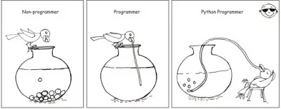 good programmer