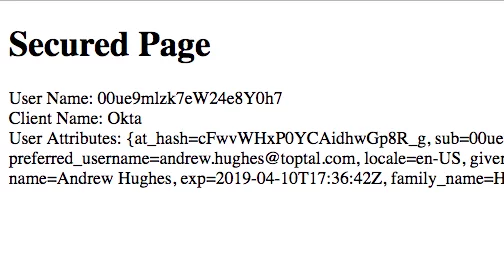 Spring Boot Login Options
