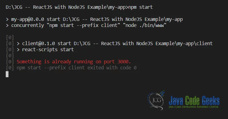 ReactJS with NodeJS - Project Run Error