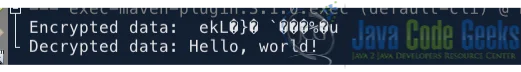 Fig 1: Java blowfish implementation example output