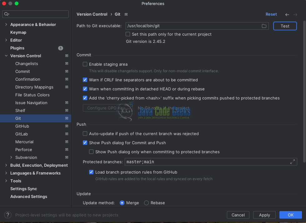 Git Integration Configuration Screenshot in IntelliJ IDEA