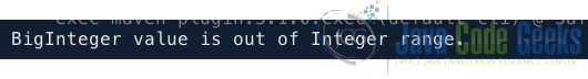 java biginteger integer classcast example output