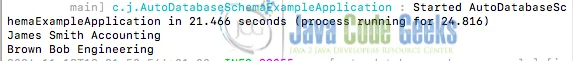 Sample output of Spring Boot JPA automatically creating the database schema