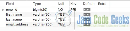 Schema Example Screenshot for Spring JPA Naming Issues