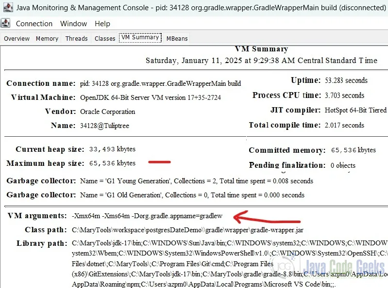 JVM advanced options