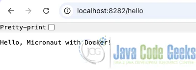 java micronaut docker output