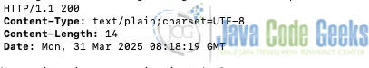 Spring Boot Tomcat example showing output with HTTP/1.1 enabled.