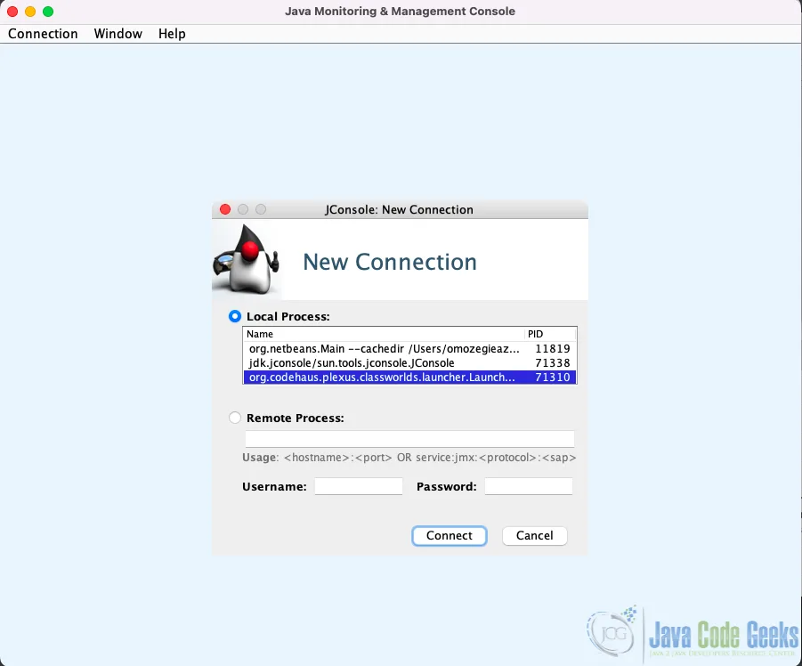 Screenshot of the JConsole interface.