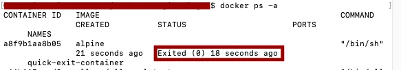 Screenshot showing the container exit status in the Docker Compose keep container running example.