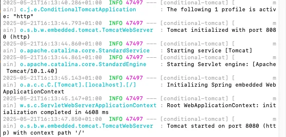 Output from running the Spring Boot example with the "http" profile to enable or disable embedded Tomcat