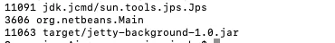 Sample output of the jps -l command displaying Java programs running in the background.
